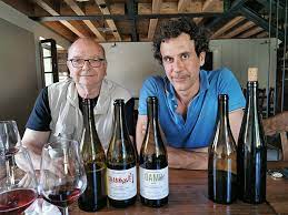 荒野おすすめコース第三弾「4つのトレンドコー」