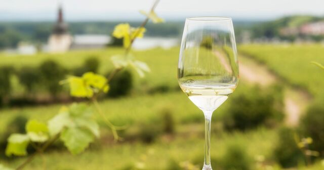 シャルドネの真髄に迫る！テロワールの違いを楽しむ3種飲み比べ