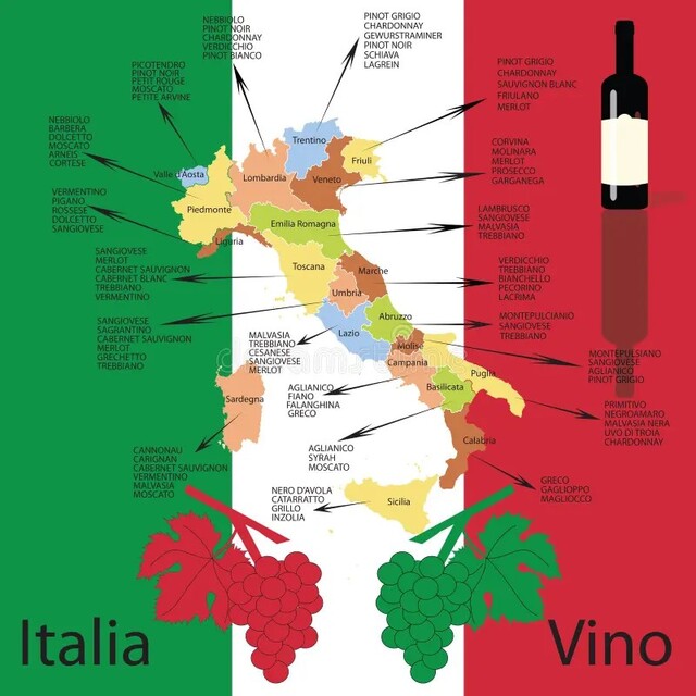 📢イタリア銘醸ワインが最大38%OFF！グレートヴィンテージが手に入る訳あり特別セール！🍷