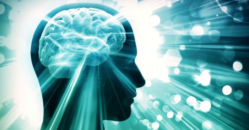 美味しいものを食べると、なぜこんなにも幸せになるのか？