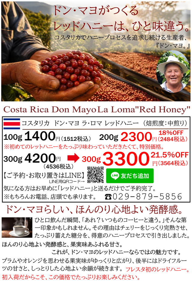 コスタリカ ドン・マヨ 